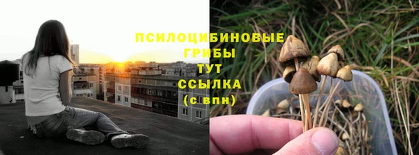 молекула духа Армянск