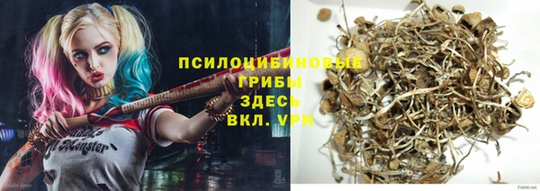 молекула духа Армянск